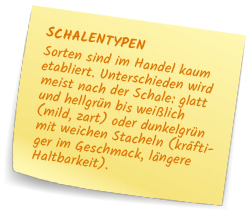Schalentypen