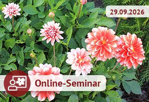 Online-Seminar am 29.09.2026