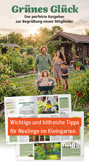 Grünes Glück - Ratgeber für Neulinge im Kleingarten Grünes Glück - Ratgeber für Neulinge im Kleingarten