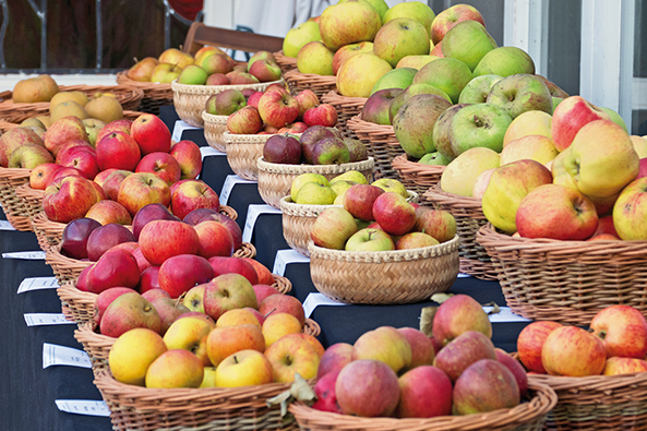 Obstsorten bestimmen