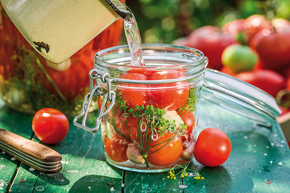 Tomaten einlegen