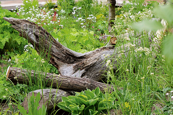 Totholz im Garten