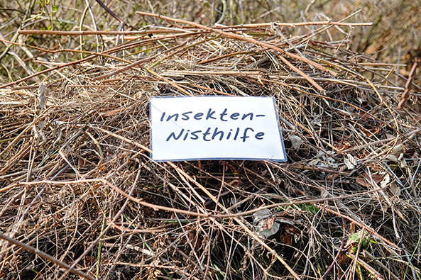 Wertvoller Lebensraum