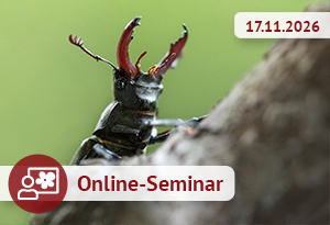Online-Seminar am 17.11.2026