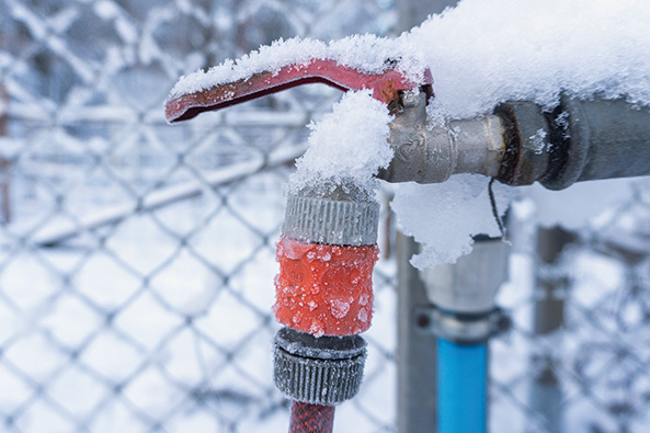 Gartentipp: alles winterfest machen