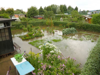 Hochwasser im Garten