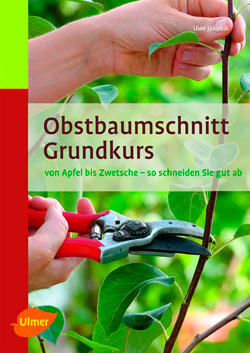 Obstbaumschnitt