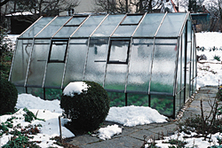 unbeheizten Gewächshaus