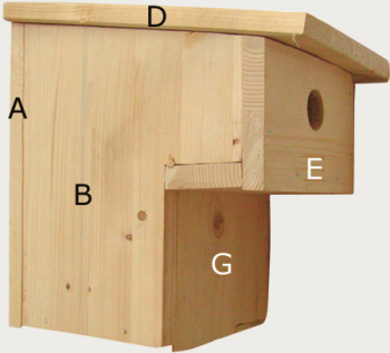 Der Vogelwart informiert über den Nistkastenbau