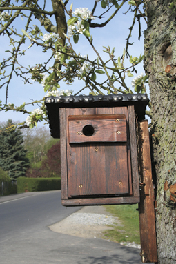Selbst gebaut