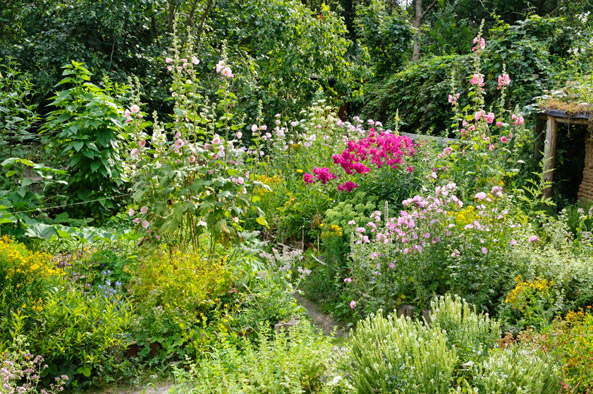 Naturnaher Garten
