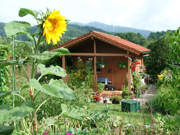Laube in Deggendorf
