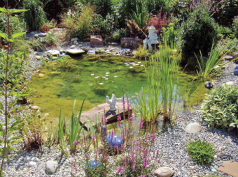 Naturnaher Garten­teich
