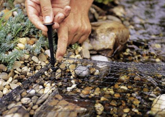 Laubschutznetze für den Teich