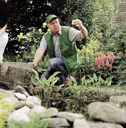 Thema Gartenteich