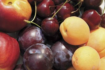 Von Hülsen und Kapseln, Beeren und Nüssen
