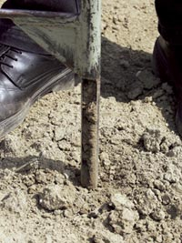 Probe­nahme mit Bohrstock