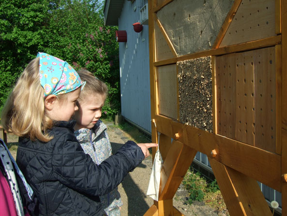 Bienen schützen