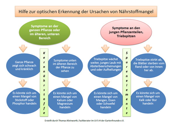 Hilfe zur optischen Erkennung der Ursachen von Nährstoffmangel