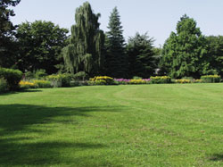 Schattenrasen