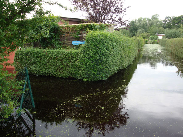 Hochwasser im KGV „Fischerinsel“