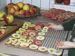 Apfelscheiben