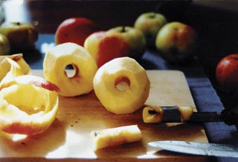 Äpfel selbst trocknen