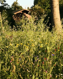 Gartenfreunde Tannenberg