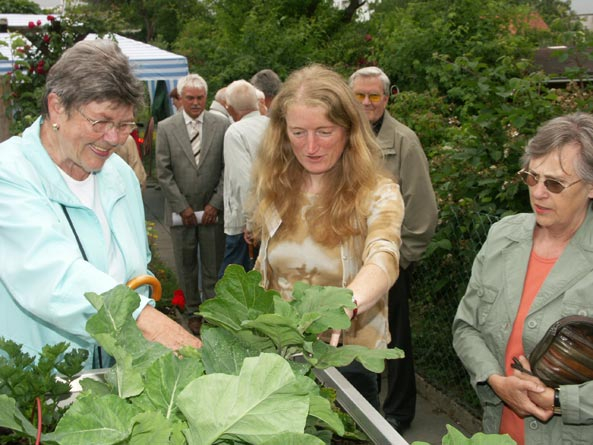 Infogarten des Verbandes