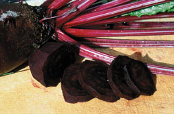 Rote Beete