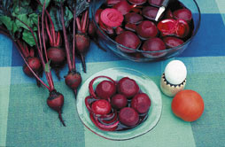 Rote Rüben als Baby Beets