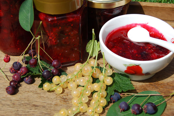 Rote Johannisbeeren und Früchte der Felsenbirne