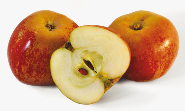 Apfel des Jahres: ‘Rotfranch’
