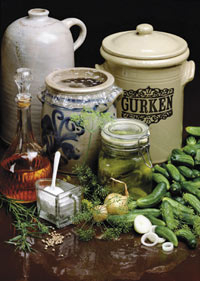 Gurken mit Meerrettich­scheiben