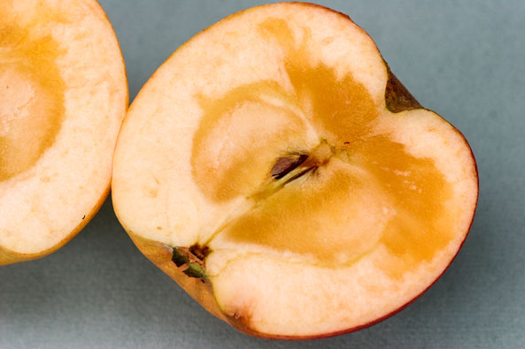 Glasige Äpfel