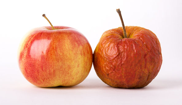 Äpfel aus großen Kühllagern
