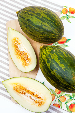 Zuckermelone ‘Piel de Sapo’