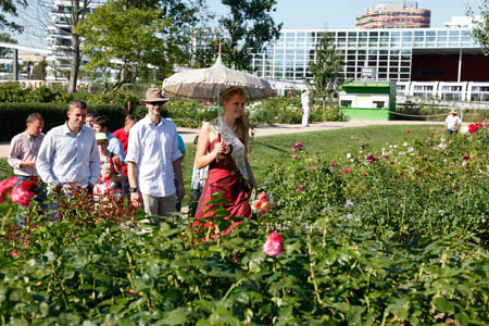 Spaziergang über den Rosenboulevard