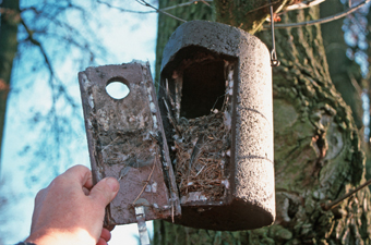 Vogelnistkasten