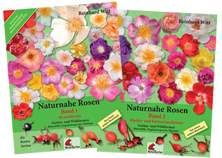 Naturnahe Rosen