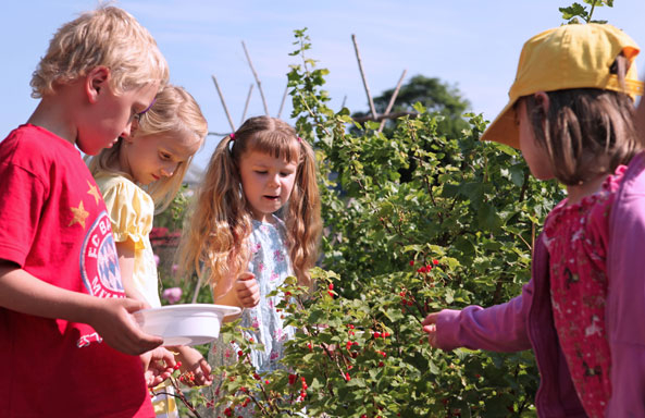 Kinder und Natur