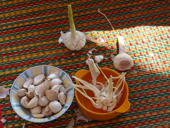 Knoblauch
