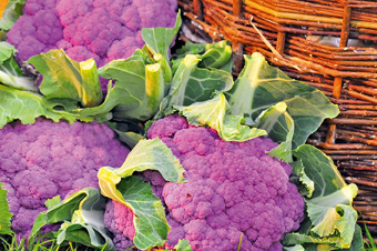 Blumenkohl auch in bunt