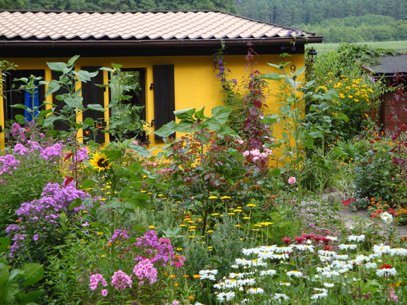 Bienenfreundlicher Garten