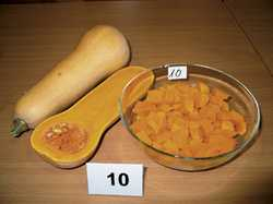 Early Butternut