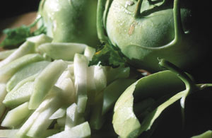 Kohlrabi