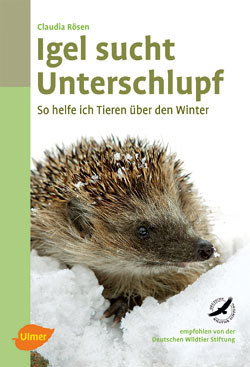 Igel sucht Unterschlupf
