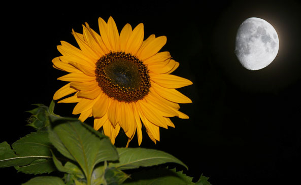Zunehmender Mond
