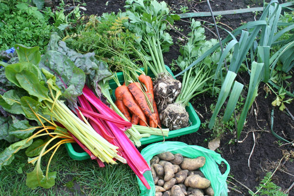 Farbenfroh und gesund