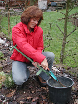 Bodenprobe mit Bohrstock